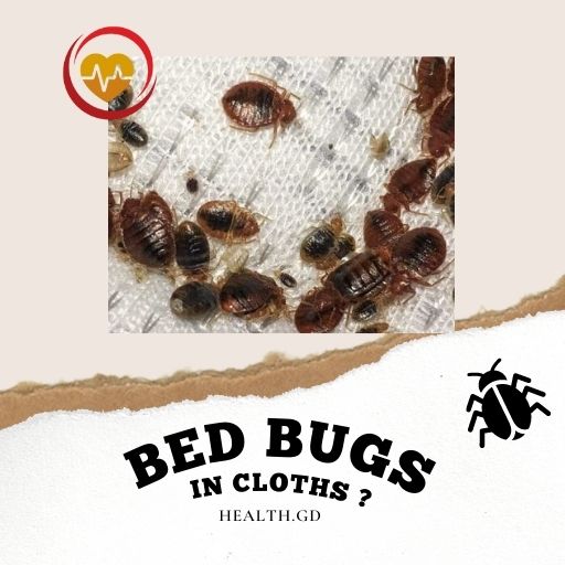 Can bed bugs bite through clothes?