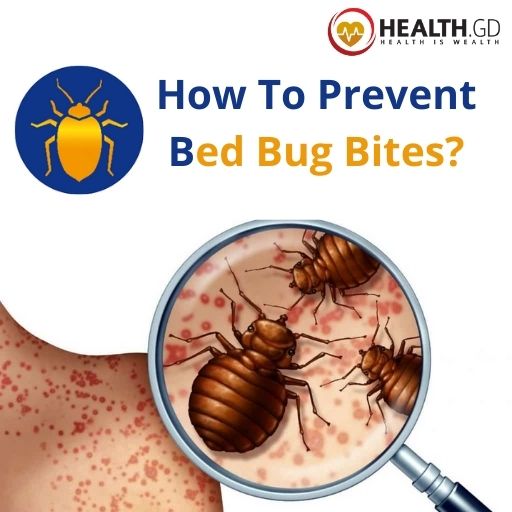 what can i put on my body to prevent bed bug bites (1)