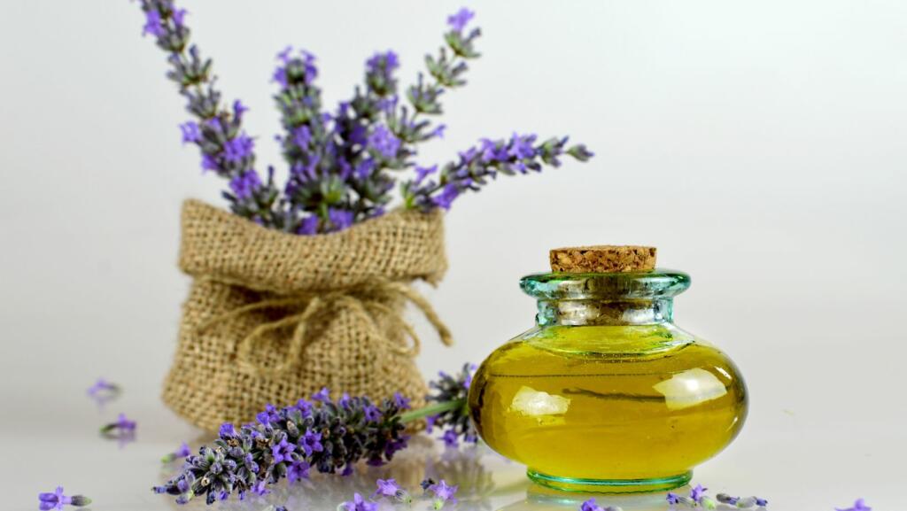 lavender oil for nail fungus
