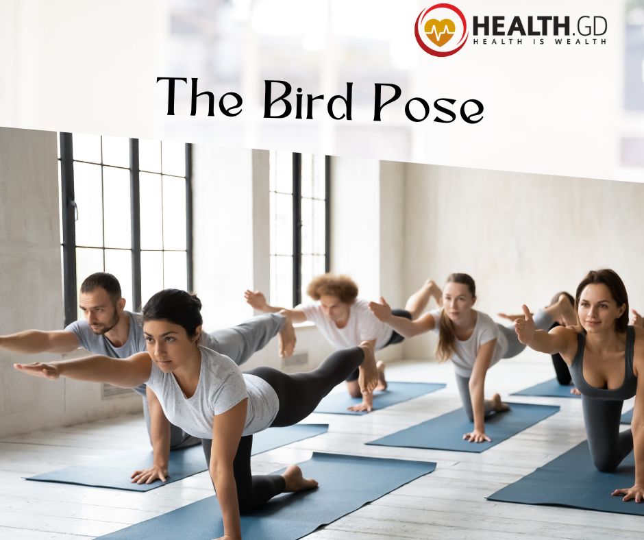 Four Person Yoga The Bird Pose
