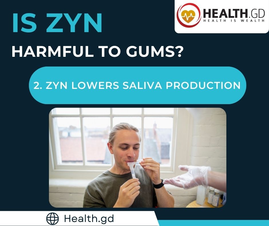 Is ZYN harmful to Gums ZYN lowers Saliva Production