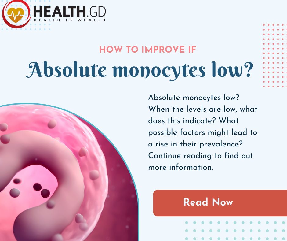 Absolute monocytes low