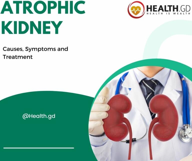 What Causes Atrophic Kidney, Symptoms And Treatment | Health.Gd