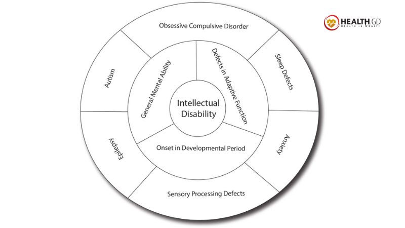 Causes of Intellectual Disability 